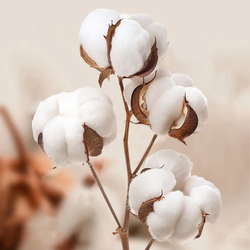 CF038 (11) - 360° Cotton Gauze Baby Bib